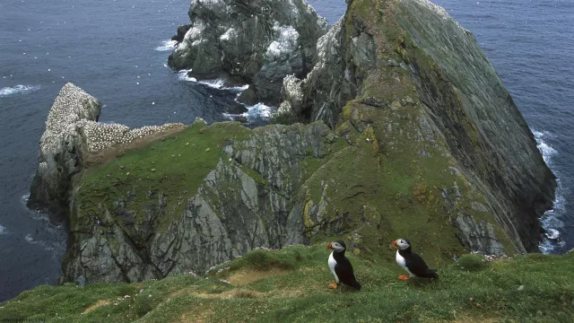 Shetland Islands, United Kingdom
