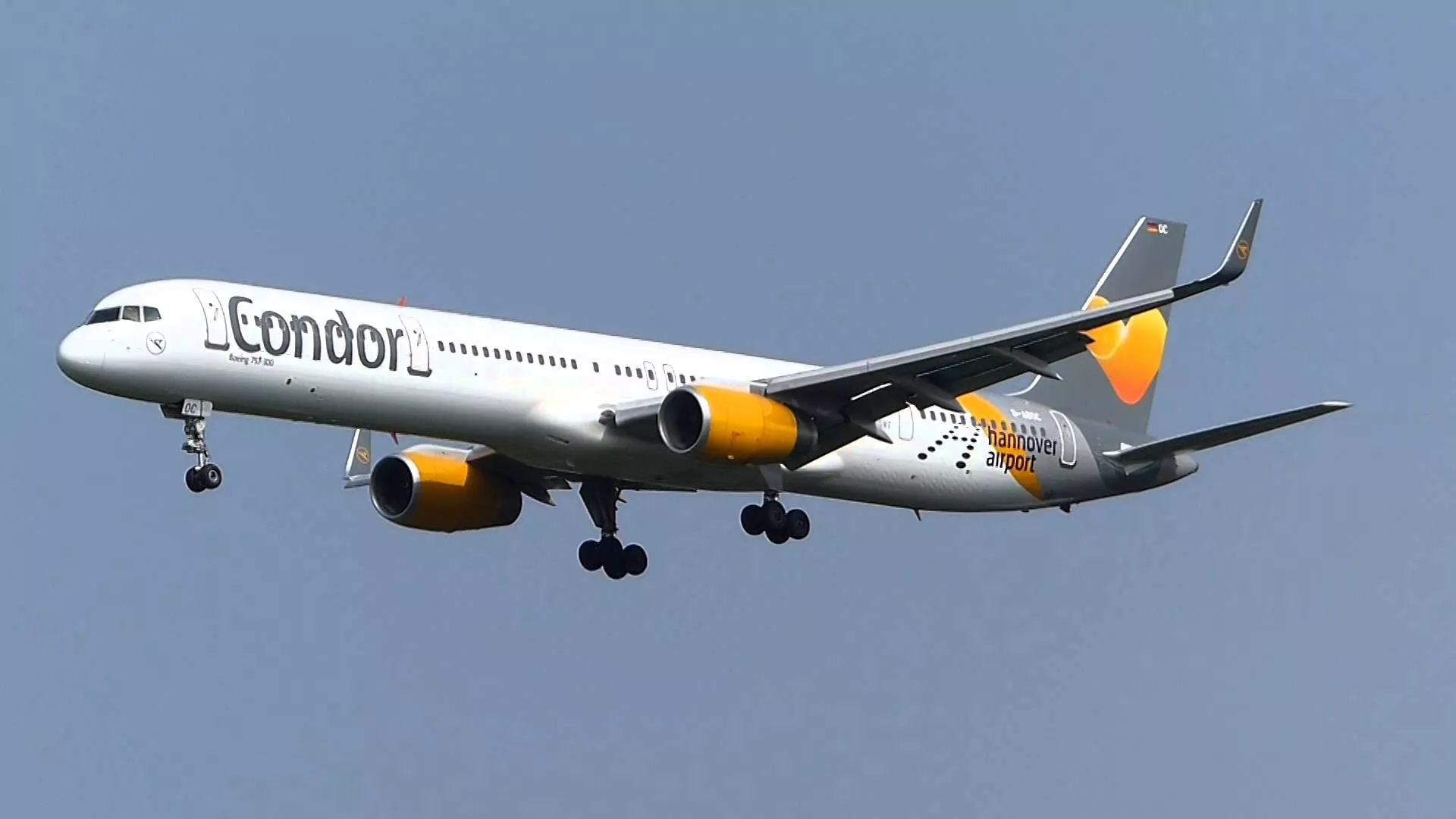 Condor
