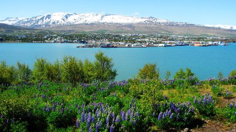 Akureiris, Islandija