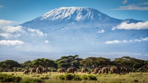 Kilimandžaras, Tanzanija