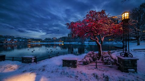 Stavangeris, Norvegija